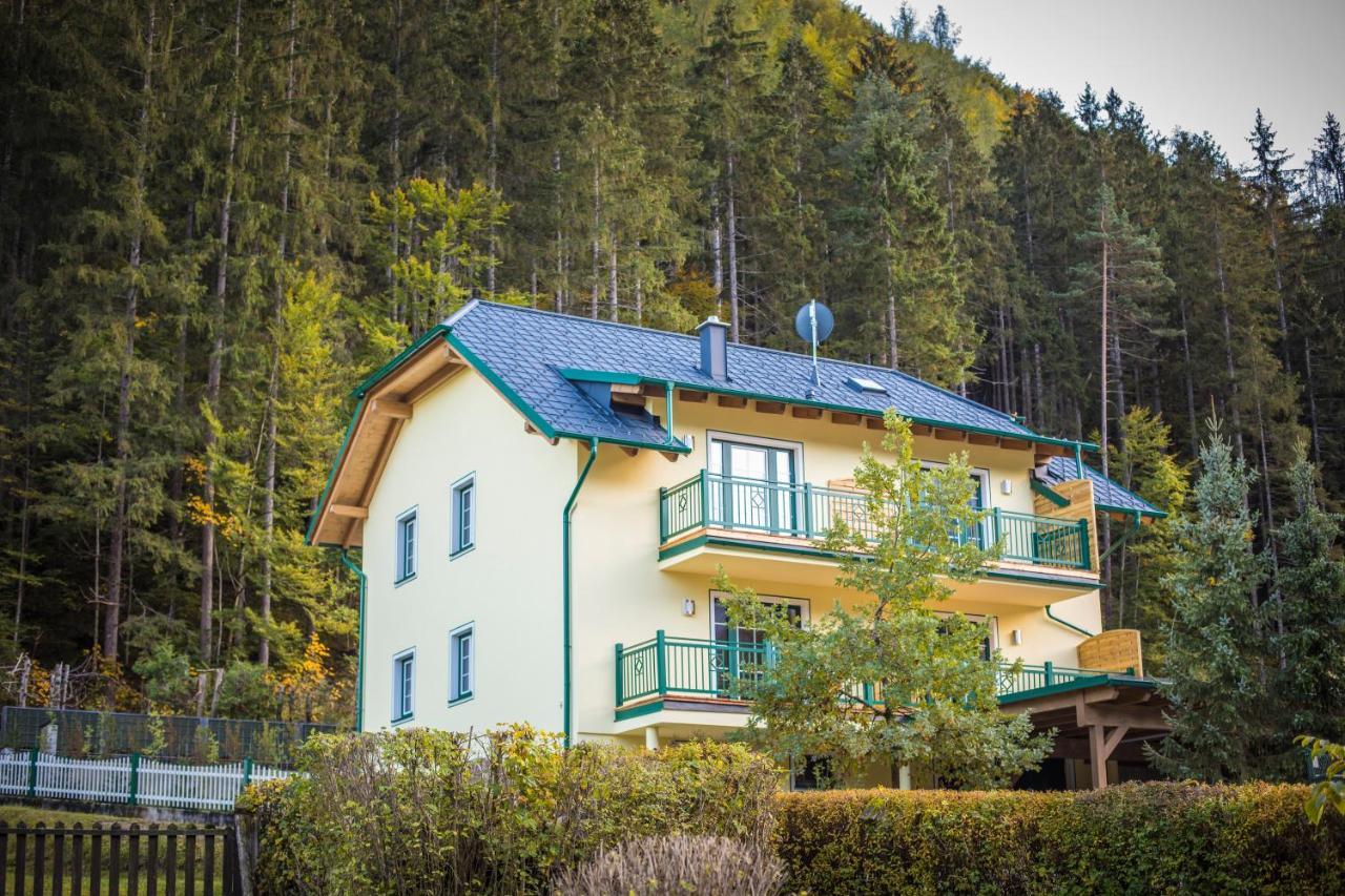 Appartement Hess Hinterstoder Kültér fotó